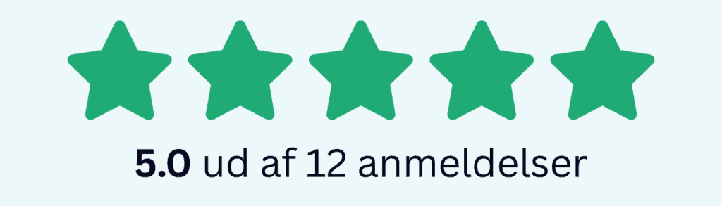 5,0 ud af 5 på 12 anmeldelser